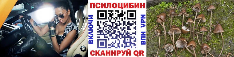 Галлюциногенные грибы MAGIC MUSHROOMS  закладки  Воркута 